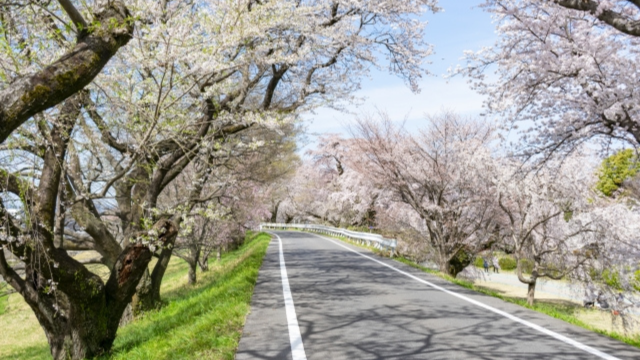 一宮木曾川